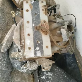 mator karopga