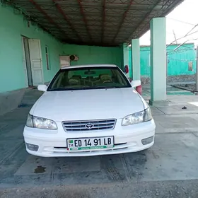 Toyota Camry 1999