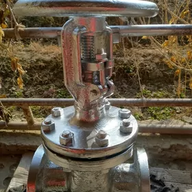 Zadwişka gaz