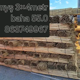 Gamyş Гамыш