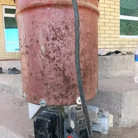 Pacak üweya Gok