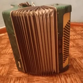 Akerdion СЮША