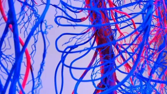 Учёные напечатали на 3D-принтере биоткань, заменившую аорту