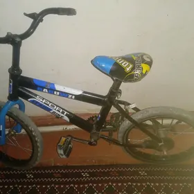 300welik