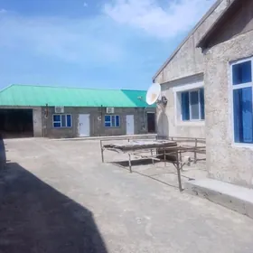 Arenda kwartira