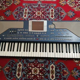 Korg Pa800