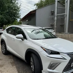 Lexus NX 300 2020