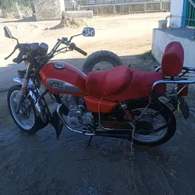 Fekon FK150-8G 2010