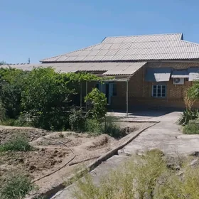 Satlyk  plan jaý