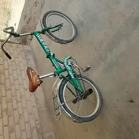 welosepid