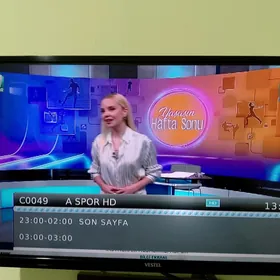 Vestel