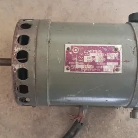 Generator mator
