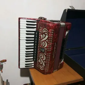 akardiyon kapriço
