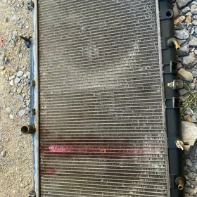 babyçka radiator