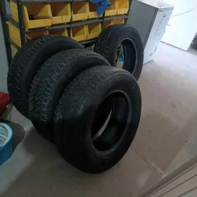Dunlop teker