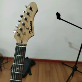 Gitara elektr