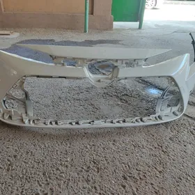 Corolla bampir