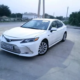 Toyota Camry 2020