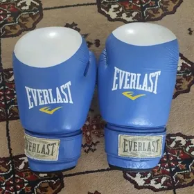 Percatka Everlast