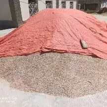 Ýarma Öküz Sygyr Goýun Geçi ün