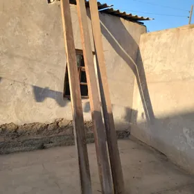 Strapila