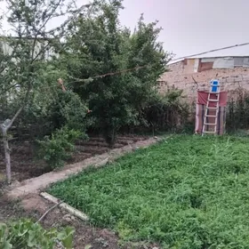 сатлык джай