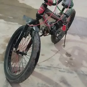 welsoped