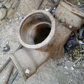 kalena Turba