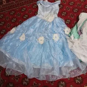 койнек
