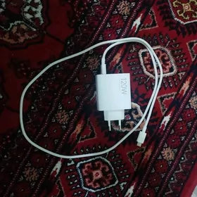 zaryatnik 120W orginaly