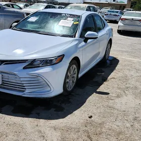 Toyota Camry 2022
