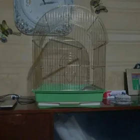 клетка
