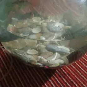 akwaryum