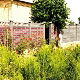 Beton Zabor (Haýat)