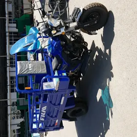 Fekon FK200-14G 2023