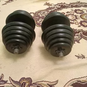 gantel 25+25kg