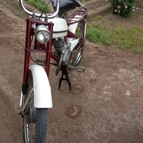 Fekon FK150-8G 2005