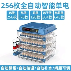 Inkubator 256 Инкубатор