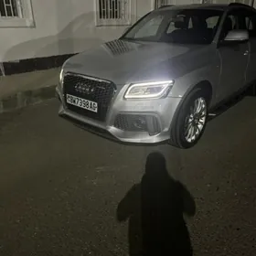 Audi Q5 2010