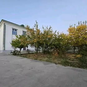 TAZE ZAMAN KATES 8 SOTOH KOM 5