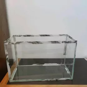 balyk akwariýum