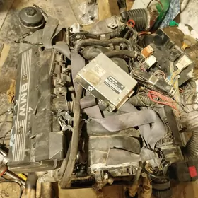 v8 tok kampÿutor