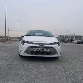 Toyota Corolla 2020