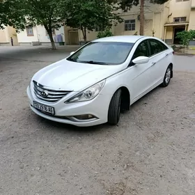 Hyundai Sonata 2010
