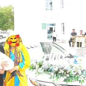 prokat koynek