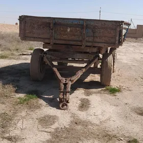 teleşke , телешга