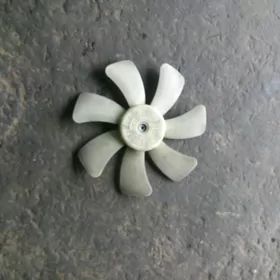 Karolla lopus