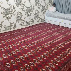 1 komnat aytakow