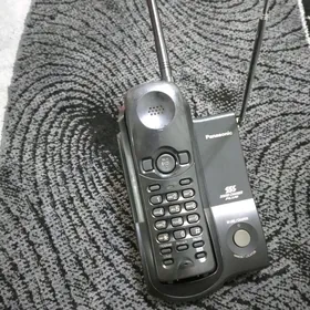 Panasonic dom.tel.