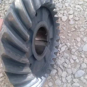 26 diş